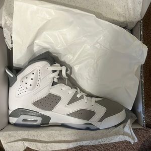 Jordan 6 Cool Grey size 10.5